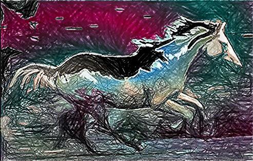 Paard in galop