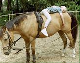 Ontspannen op het paard liggen