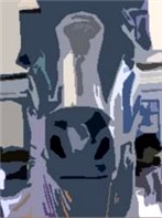paardenhoofd