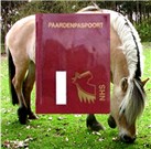 paspoort