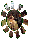 Rawhide