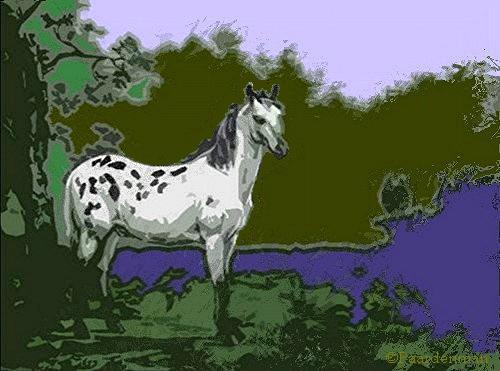 Het beste paard  van de stal