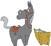 Lesboek van de paardenman