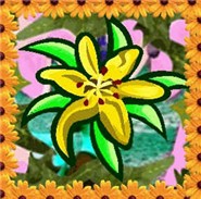 ...bloemen, zo mooi en levensecht...