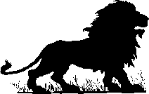 ...toen een leeuw op haar afkwam...