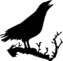 ...bovenop het nest schitterde een gouden kroon...