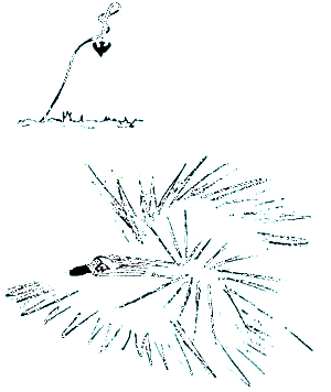 ...op de Leeuwerikstraat vloog nu een prachtige, sneeuwwitte zwaan...