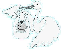 ...met de luier van de baby in de snavel...