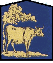 De gouden os van Osken