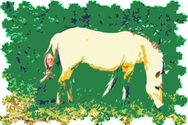 ...waarin een prachtige, volslanke fjordenmerrie liep...