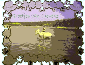 ...met Komiek zwemmen in het Duinse Ven...