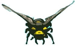 ...een knappe jongeman...