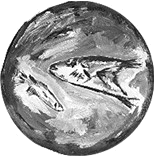 ...grote vis en kleine vis...