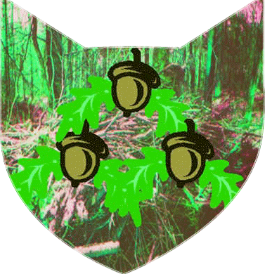 ...het dorpswapen...